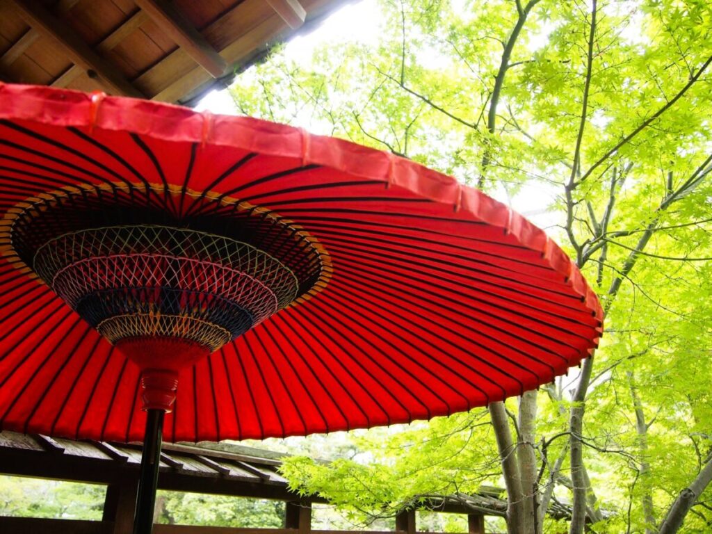 Traditional wagasa umbrella in Japanese forest