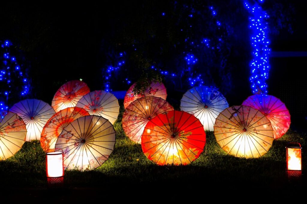 Illuminated Japanese Wagasa Umbrellas in a Nighttime Display