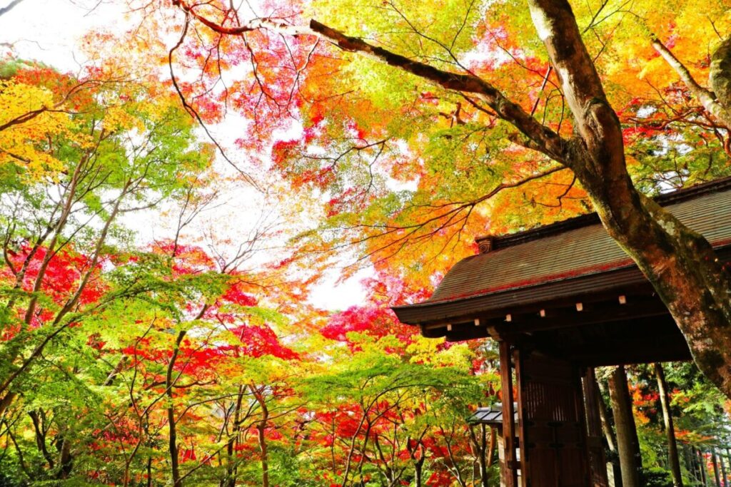 Autumn foliage and temple gate at Zuihoji Park in Arima Onsen