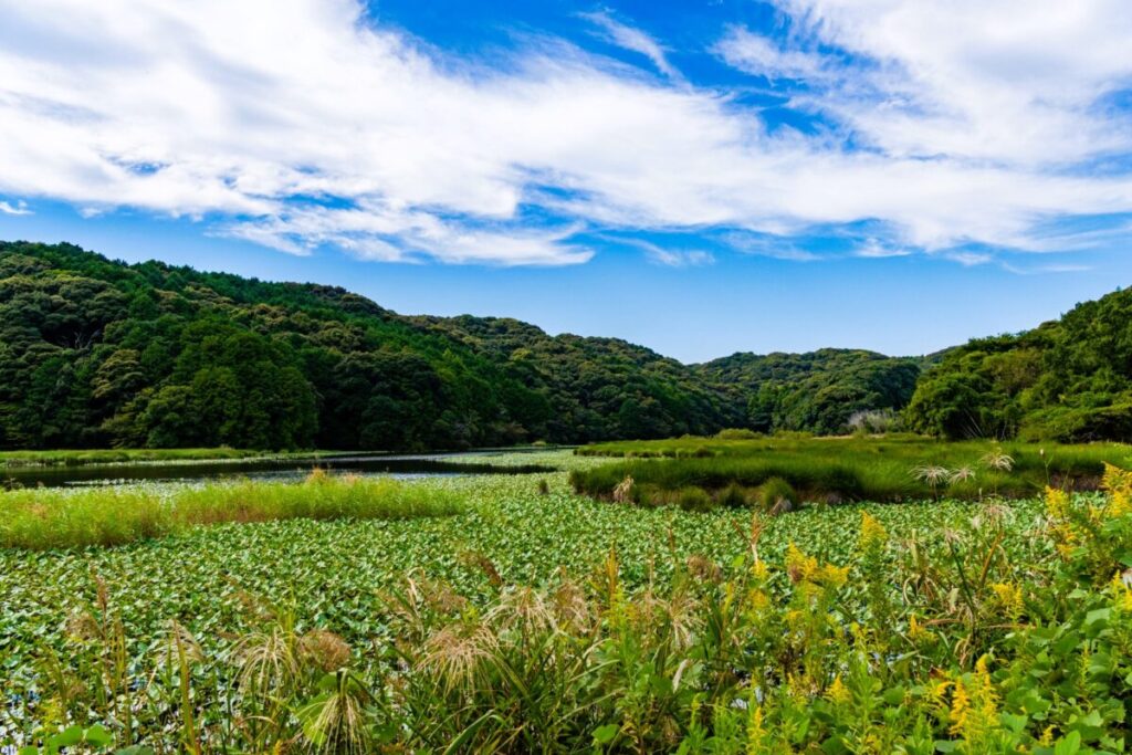 Scenic view of Tsuruike Pond in Iwata City surrounded by nature