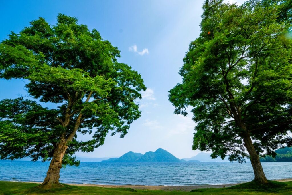 Lake Toya with a large tree on the lakeshore and scenic mountain backdrop