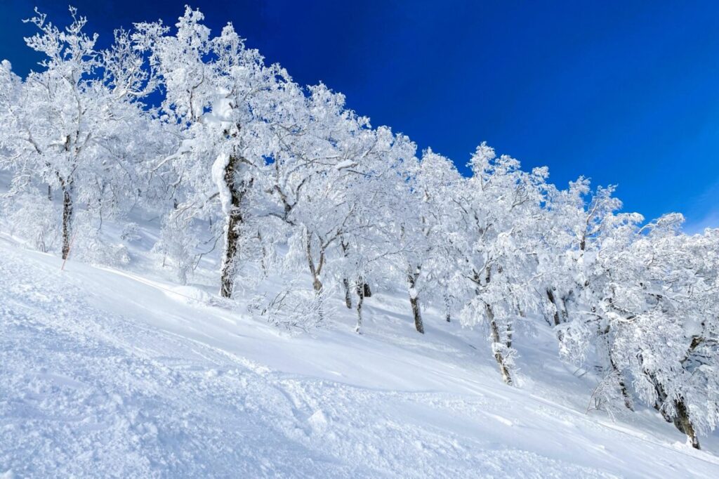 Snow-covered Teine Highland ski resort near Sapporo