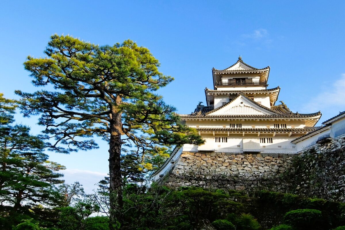 Kochi Castle, a well-preserved feudal castle in Kochi City, Japan