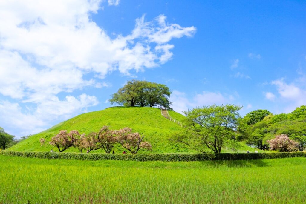 Sakitama Kofun Cluster, ancient burial mounds in Saitama Prefecture