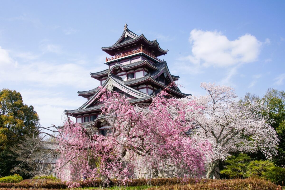Fushimi Momoyama Castle with cherry blossoms in Kyoto, scenic spring view